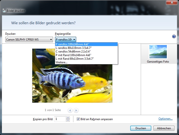 Canon SELPHY CP910 im Test - Kompaktfotodrucker mit WLAN