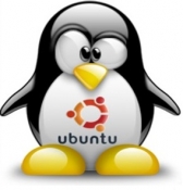 Anleitung: Einen Linux Webserver installieren Anleitung: Einen Linux Webserver installieren