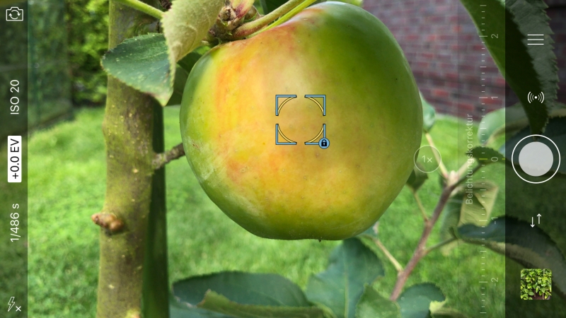 Dank Procamera schöne Fotos mit dem iPhone 7 Plus knipsen