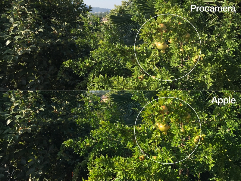 Dank Procamera schöne Fotos mit dem iPhone 7 Plus knipsen